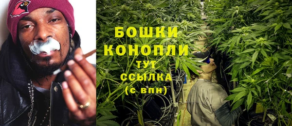тгк Костерёво