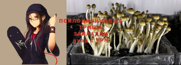 каннабис Козловка