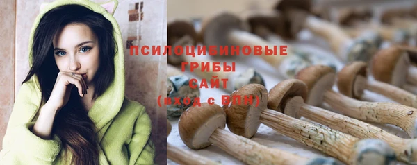 первитин Козельск