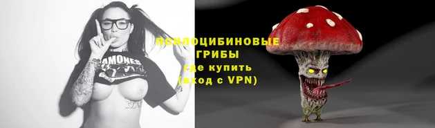 первитин Козельск