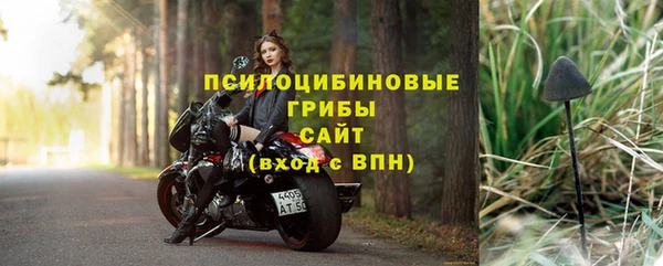 первитин Козельск