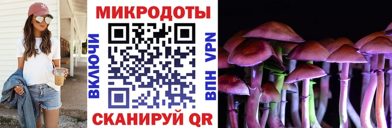 Галлюциногенные грибы мицелий Купить где Змеиногорск